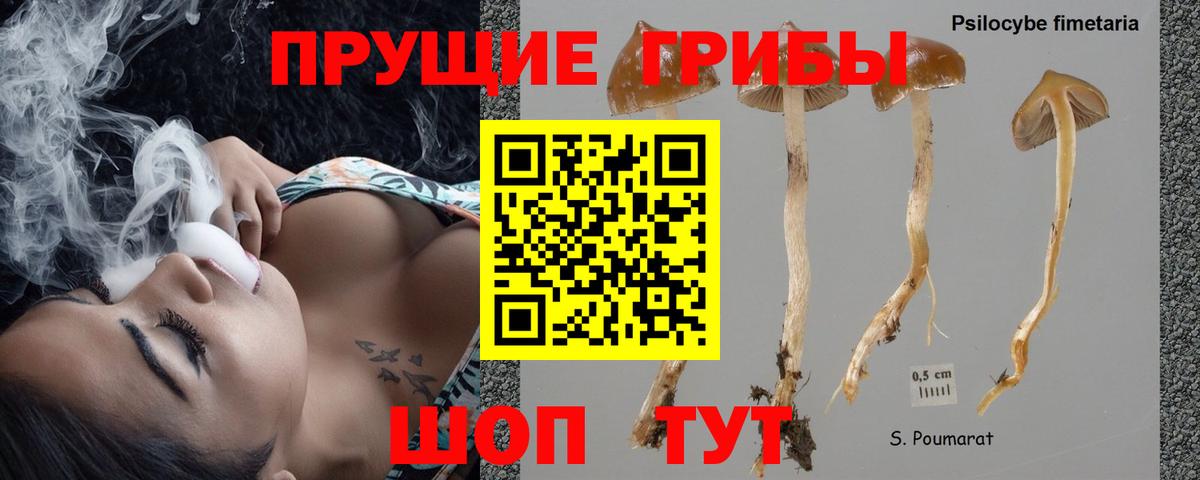 Галлюциногенные грибы ЛСД  цены наркотик  Вход с VPN  Тулун  Псилоцибиновые грибы ЛСД 